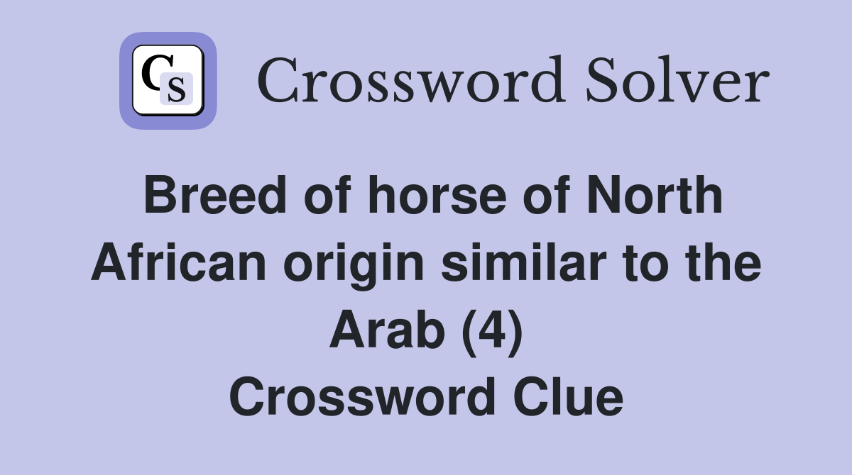 Breed of horse of North African origin similar to the Arab (4